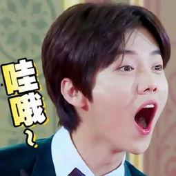 罗甄珠表情包,网络时代的表情符号传奇